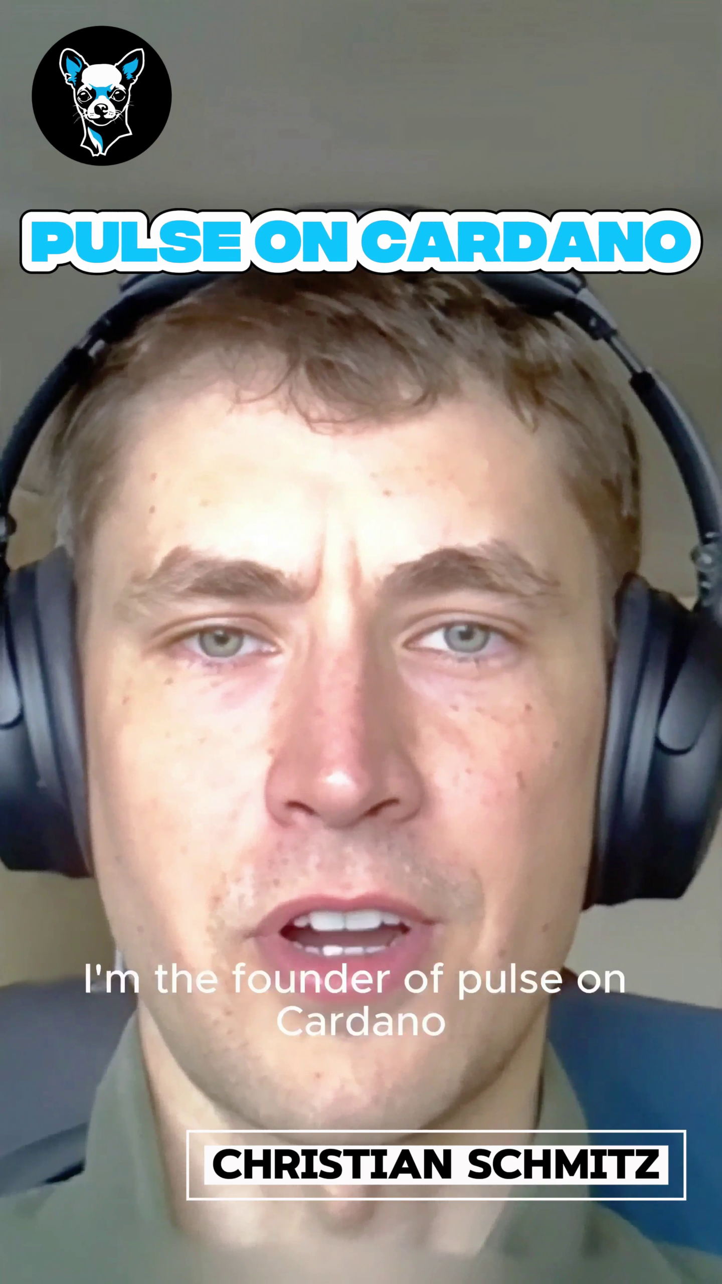 Cardano DeFi Breakthrough: Pulse Protocol Explained in 1-Minute