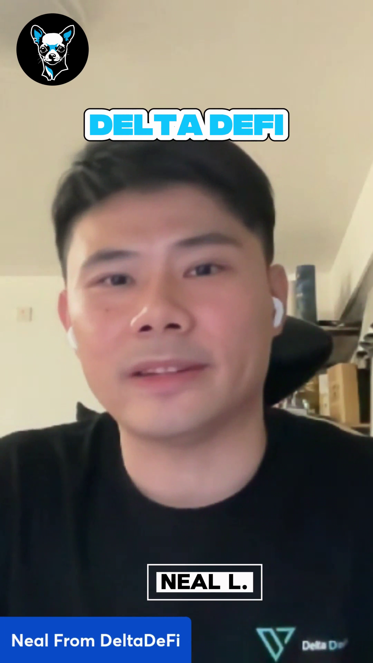 Delta DeFi on Cardano: Quick Intro with Neal L.